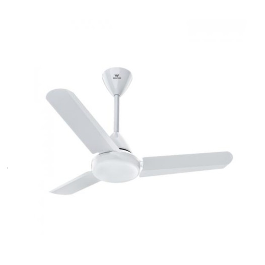 Walton Tulip Ceiling Fan (36")