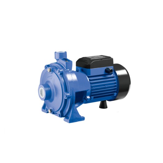 WP2XCm25/160B-2.0 Walton Water pump