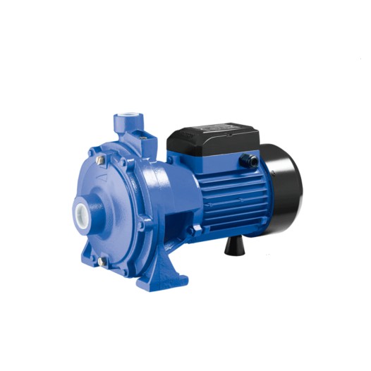 WP2XCm25/160A-3.0 Walton Water Pump