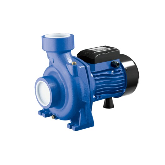 WPHm-5B-1.0 Walton Water Pump