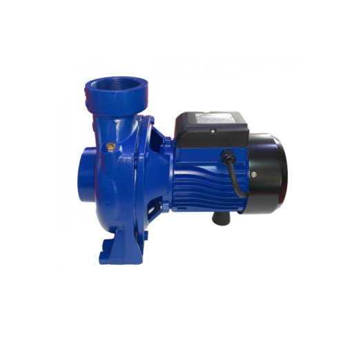 WPHm-6B-2.0 HP Walton water Pump