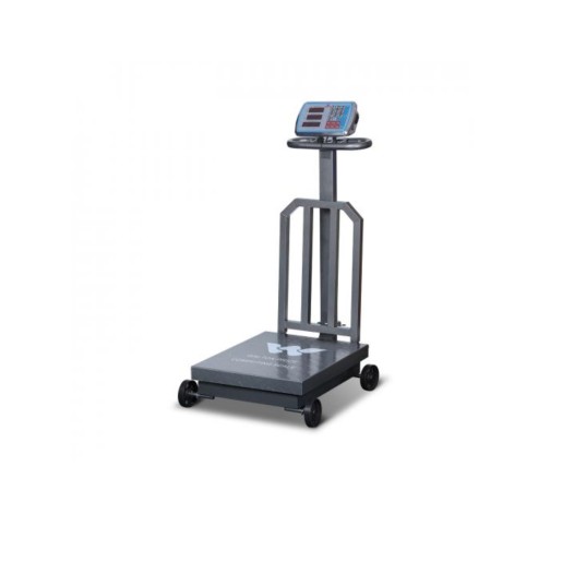 WPCS-DS300CX EXCLUSIVE Walton Weight Machine