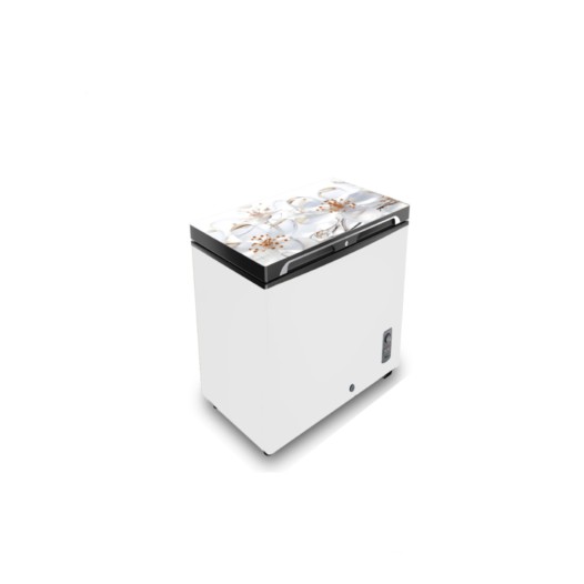 VISION Glass Door Chest Freezer RE-150 Liter White Ice Flower