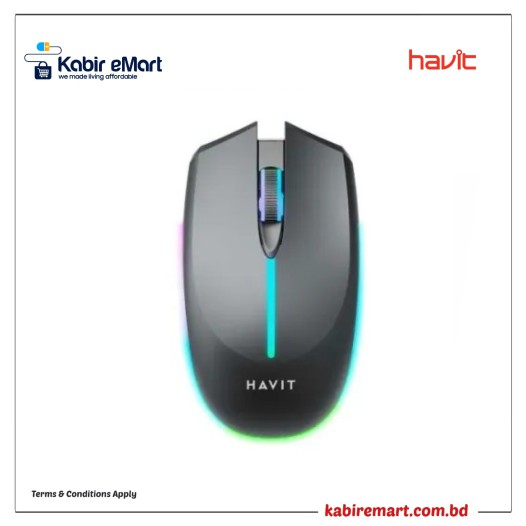 Havit MS68GT RGB Optical Wireless Mouse