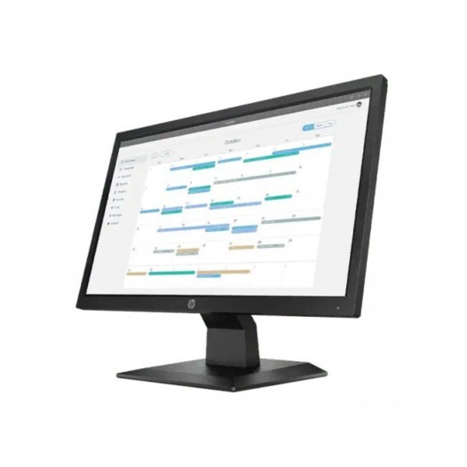 HP P204v 19.5 Inch HD LED Monitor (HDMI, VGA)