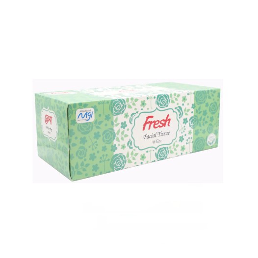 Fresh Facial Tissue White 100PcsX2Ply