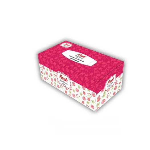 Fresh Facial Tissue Perfumed (100 Pcs x 2 Ply)