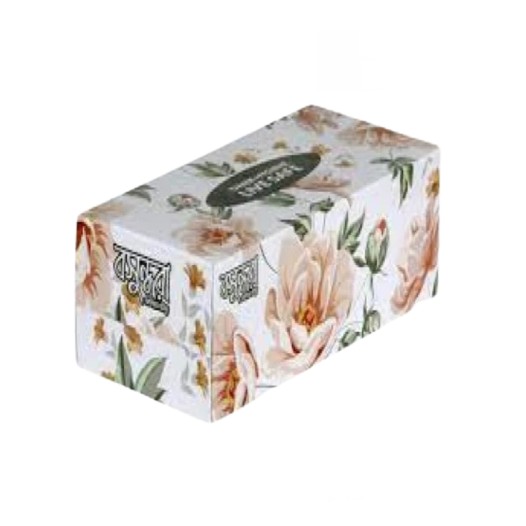 Bashundhara Facial Tissue White 120x2