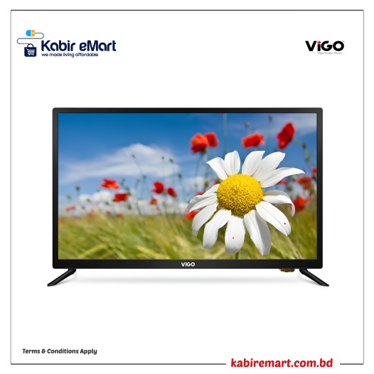 ViGO 24 LED TV S2