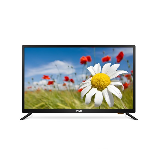 ViGO 24 LED TV S2