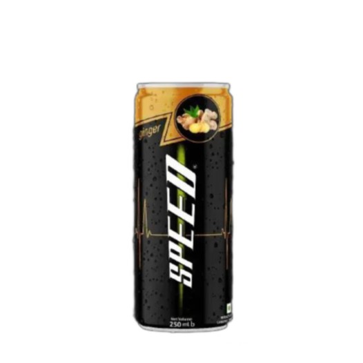 Speed Ginger Can 250ml