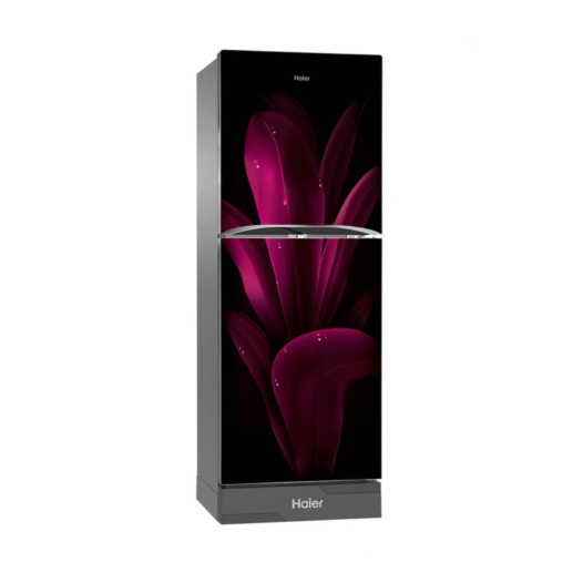 HAIER 246L Top Mount Refrigerator