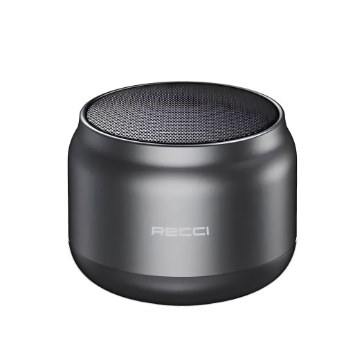 RECCI RSK-W13 Wireless Bluetooth Speaker - Gray