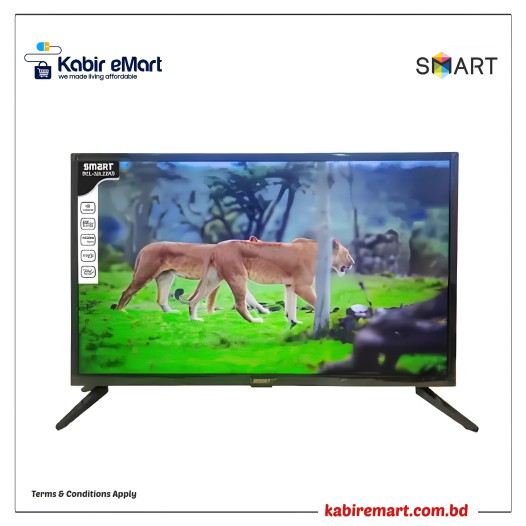 Smart SEL-24L22KS 24 HD Basic LED TV