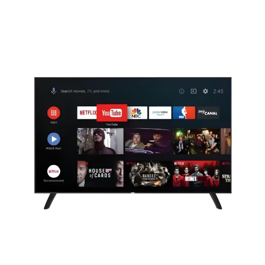 Smart SEL 65S224KKS 65 Inch 4K Voice Control Android TV