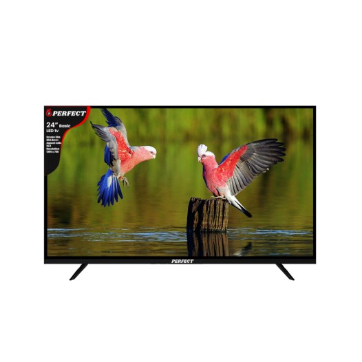 Perfect 24 Inch Basic frameless LED TV